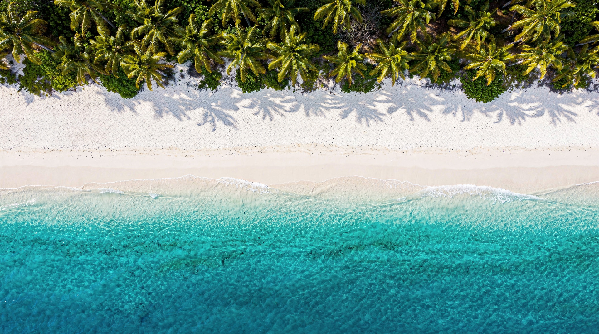 Que faire à l'île Maurice